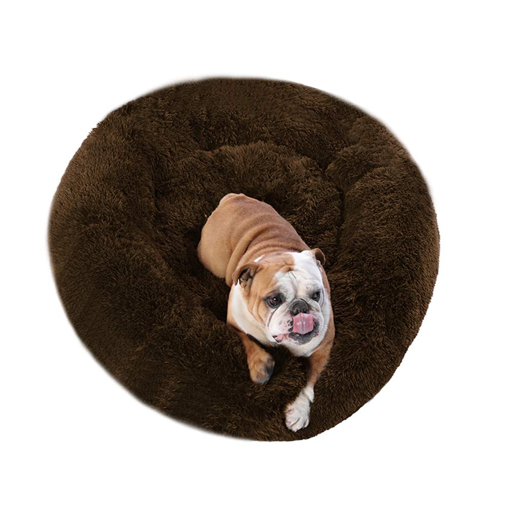 Cat Bed for Indoor Cats,Mini Plush Self Warming Kitten Bed, 20 Inch
