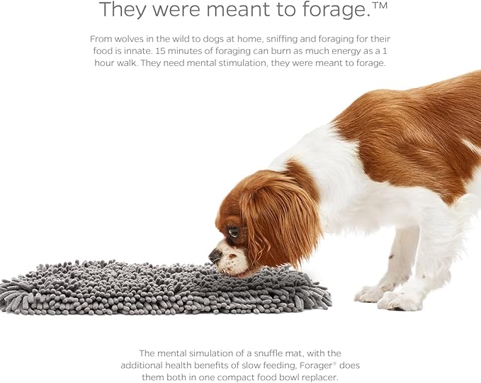Pet Parents Forager Mats & Slow Feeder Dog Bowl - Snuffle Mat with SoftSnout & Non-Slip Backing (Forest 19")