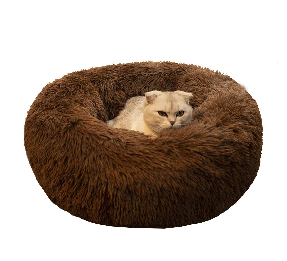 Cat Bed for Indoor Cats,Mini Plush Self Warming Kitten Bed, 20 Inch