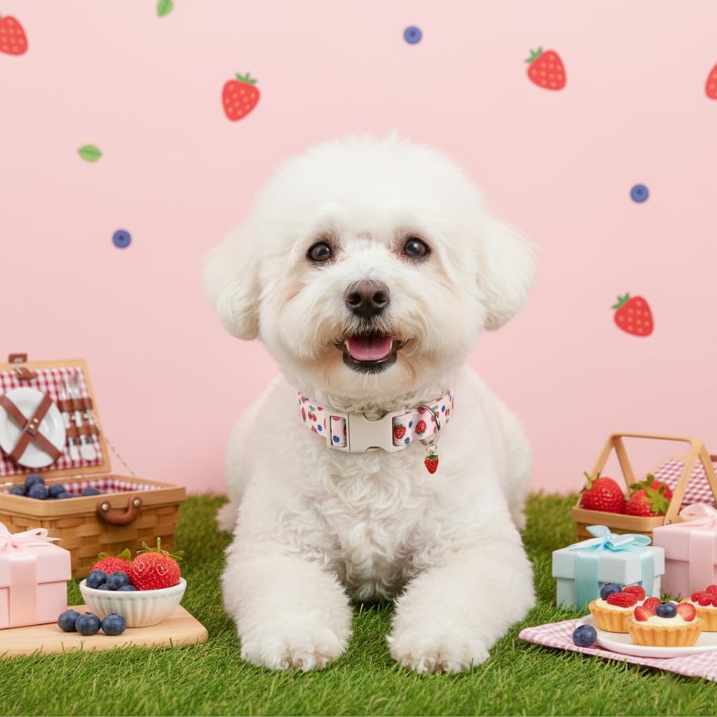 Britwicfr Girl Dog Collar, Cute Dog Collar for Medium Dogs with Cute Strawberry, Cherry and Blueberry Print, Pink Collar for Dogs with Quick-Release Buckle and Robust D Ring, M