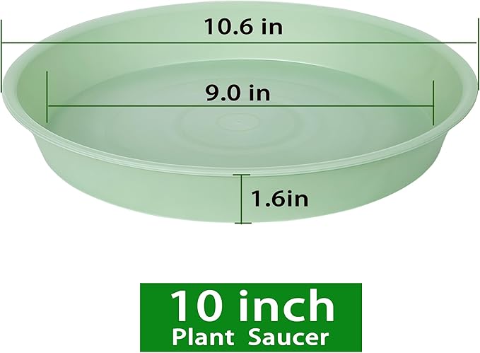 Bleuhome 6 Pack of 10 inch Plant Saucer Blue, Heavy Duty Plastic Plant Saucer 10 inch Round, Flower Plant Saucers for Indoors, Plant Trays for Planter 8"/9"/10" (10", Light Green)