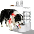 RIZZARI 5L Automatic Cat Water Dispenser: Elevated Filtered Cat Bowl