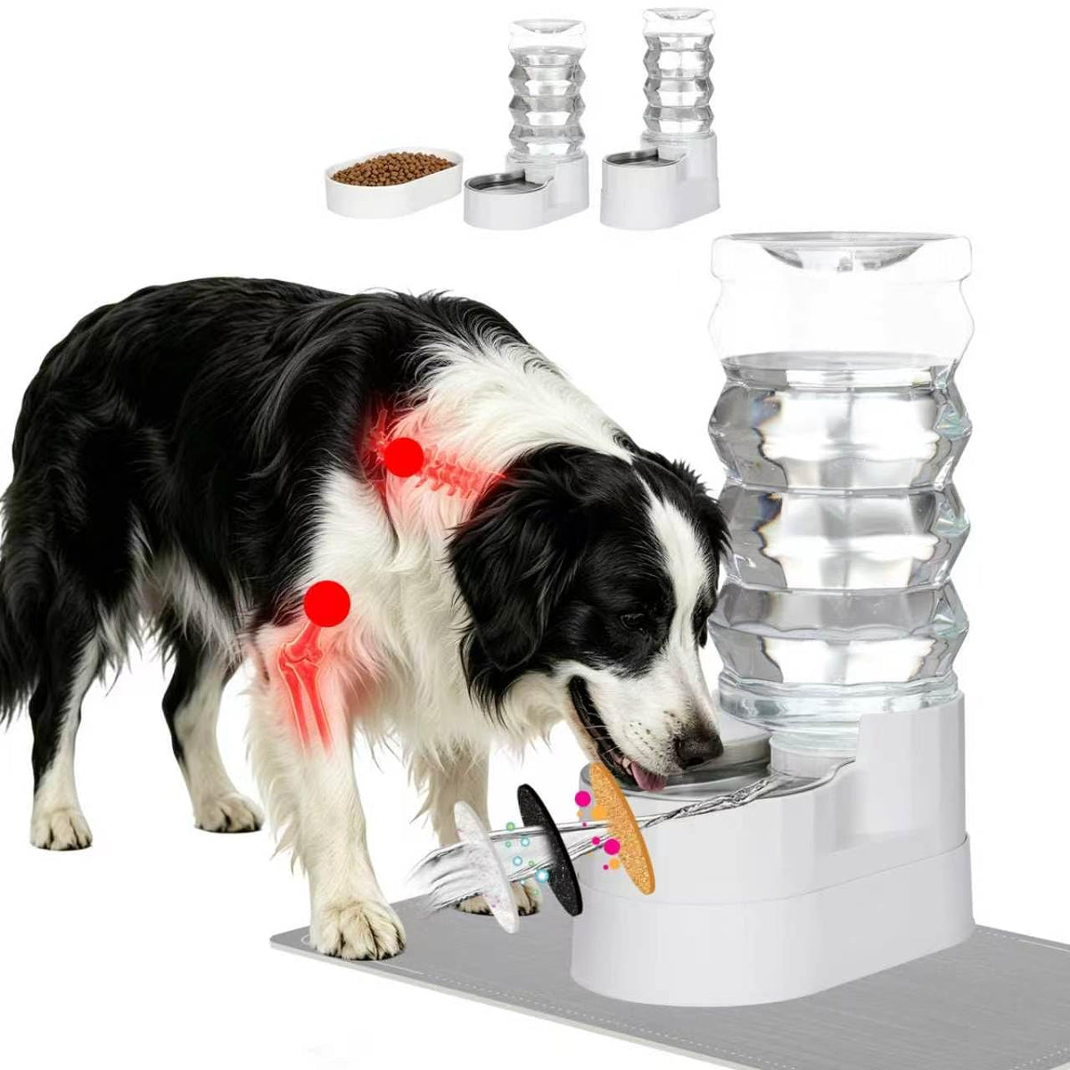 RIZZARI 5L Automatic Cat Water Dispenser: Elevated Filtered Cat Bowl