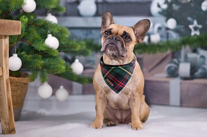 Lionet Paws Christmas Dog Bandana Washable Cotton Handkerchief Scarf Triangle Green Bandanas for Medium Large Dogs Girl Boy