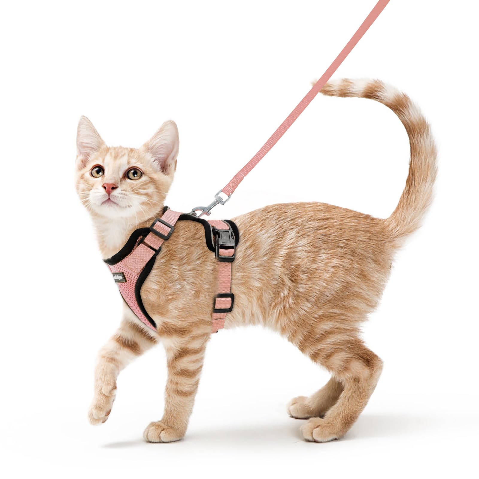 rabbitgoo Cat Harness and Leash Set, Escape Proof Vest, Emerald