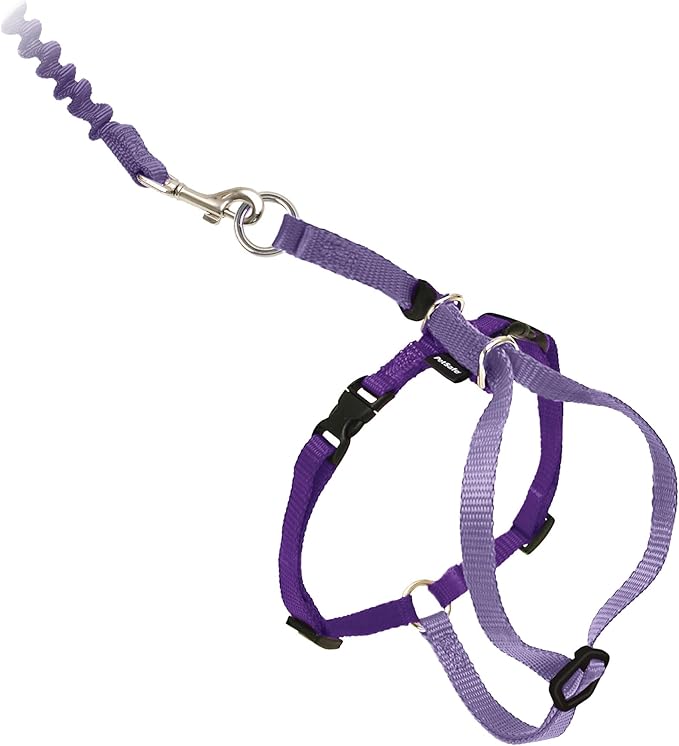 PetSafe Come with Me Kitty Harness and Bungee Leash Adjustable, Lightweight Harness for Cats Large, Lilac