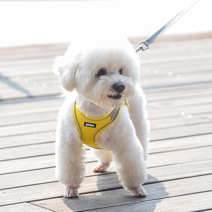 AIITLE Dog Harness, No-Pull Cat Harness with a Leash, Adjustable Reflective Dog Vest, Cat Harness Escape Proof, Outdoor Walking, Running,Training for Extra Small Dogs and House Cats Yellow XXXS