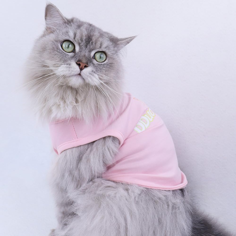 Custom Dog Shirt,Personalized Pet Apparel with Name Text Photo Image,Lightweight Breathable Puppy Kitten Cotton Vest for Small Medium Large Dogs Cats,Puppy Gift (Blue, 5X-Large)