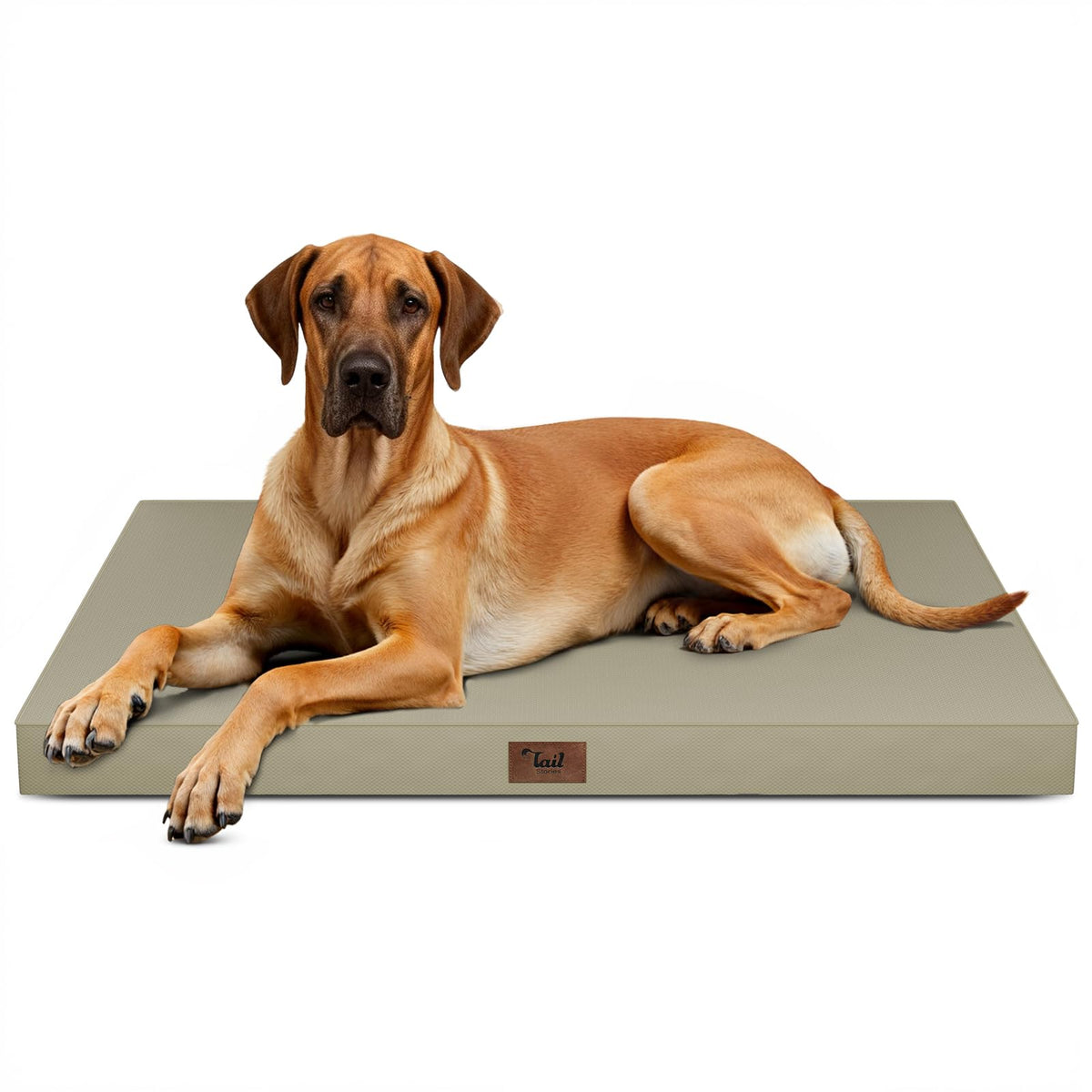 Tail Stories Jumbo Waterproof Orthopedic Dog Bed for Extra Large Dogs