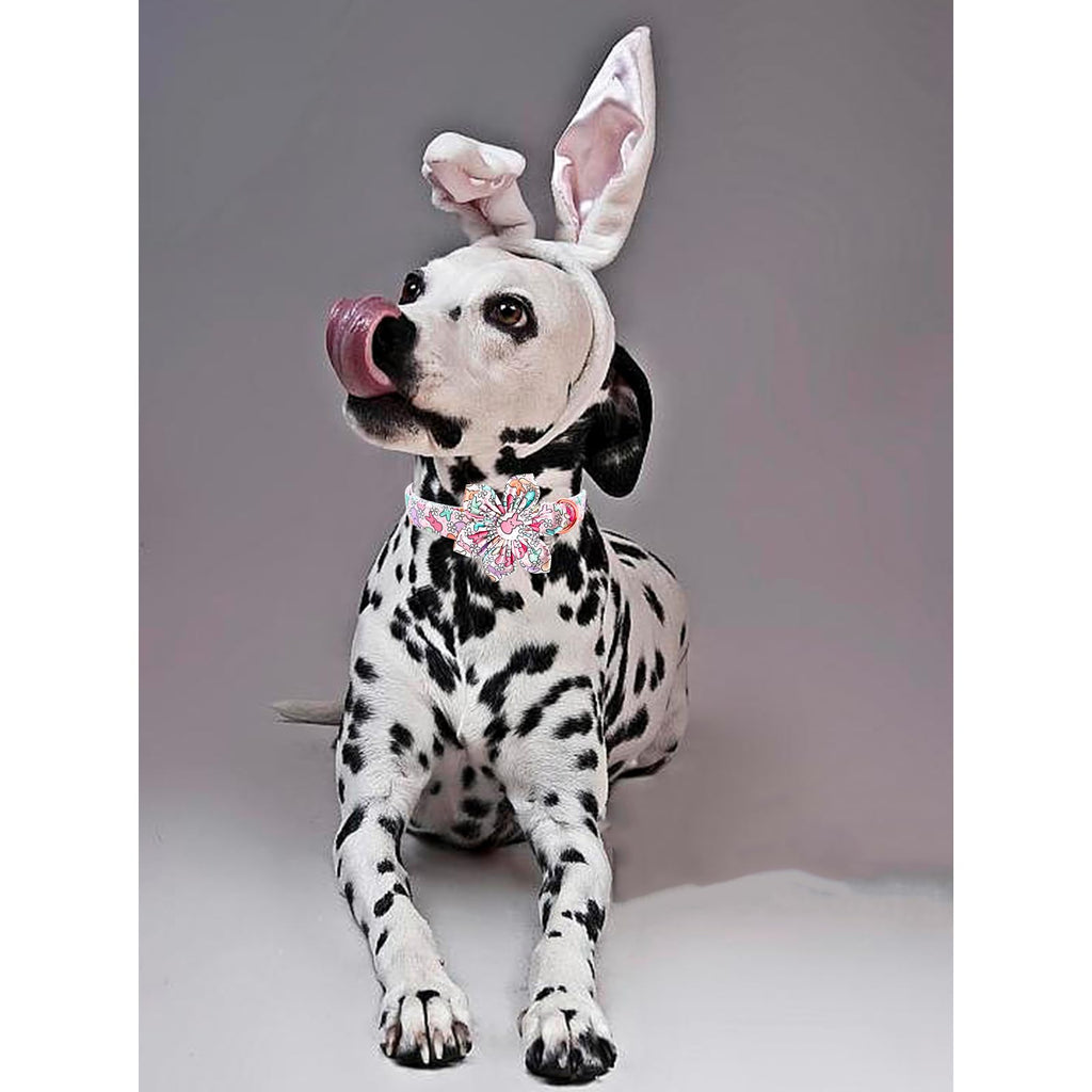 Lionheart glory Easter Day Dog Collar with Flower Dog Collar for Large Dogs, Rabbits Dog Collars Colorful Dog Collar Spring Collars Pet Collar Flowers