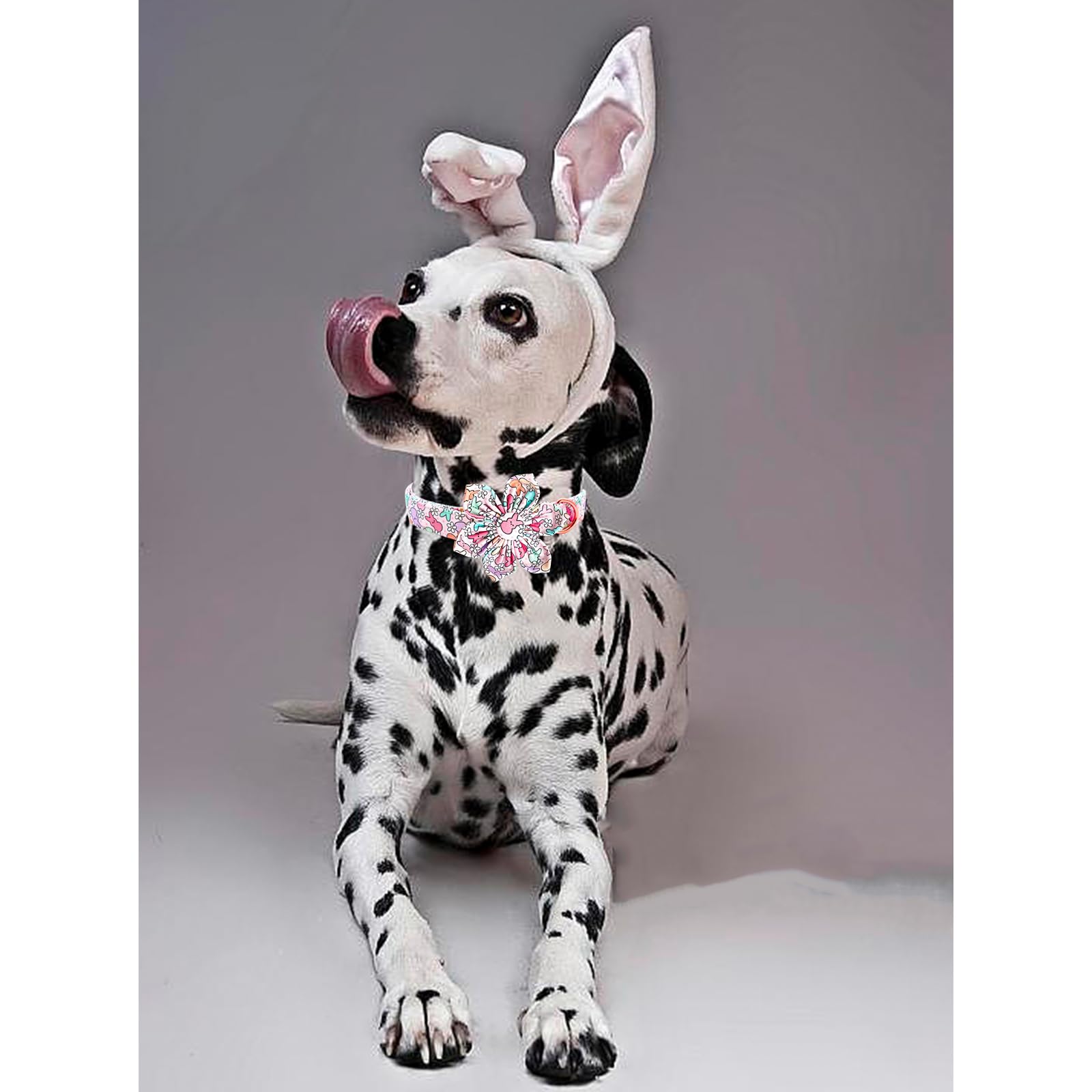 Lionheart glory Easter Day Dog Collar with Flower Dog Collar for Large Dogs, Rabbits Dog Collars Colorful Dog Collar Spring Collars Pet Collar Flowers