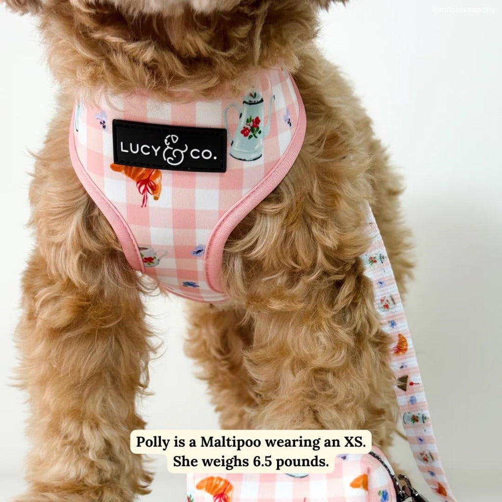 Lucy & Co. Reversible Dog Harness - Water-Repellent Neoprene, Dual-Print Design, Easy Swap Style, Adjustable Comfort Fit - Sipping Slowly Reversible Harness - Small