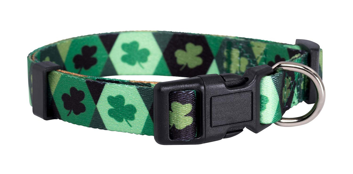 Native Pup Halloween Dog Collar (Large, Bats)