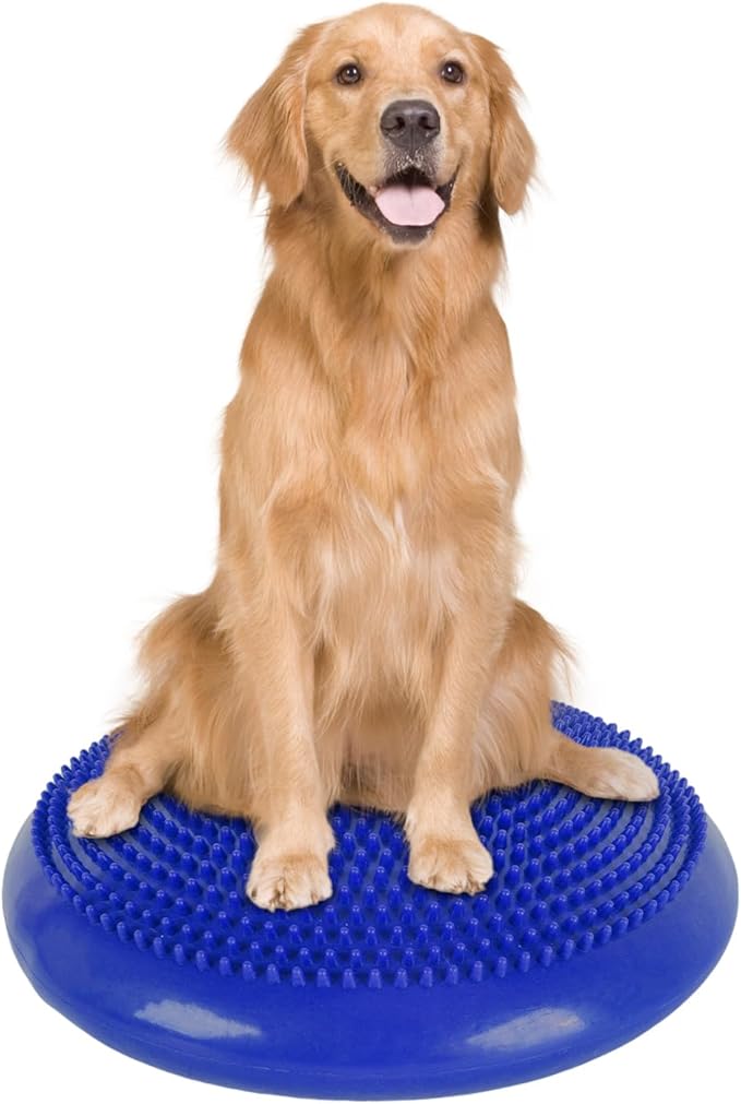Dog Balance Disc 14 in with Cushion and Pump for Small Medium-Sized Dogs