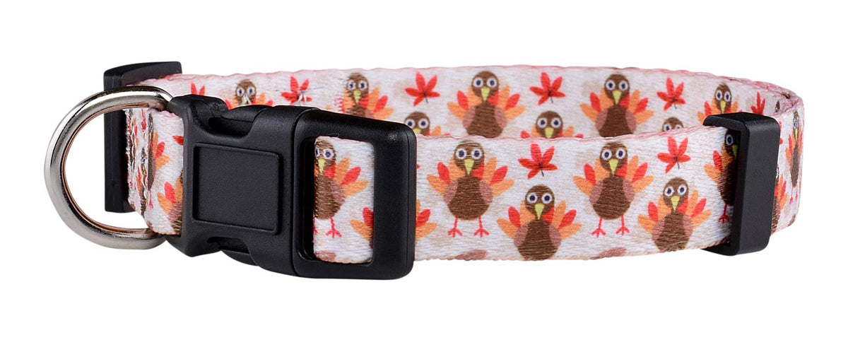 Native Pup Halloween Dog Collar (Small, Bats)