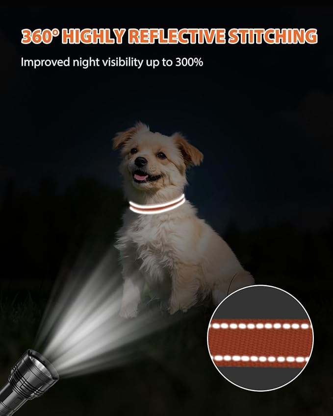 Joytale Small Dog Collar, Durable Double-Sided Reflective Nylon Collar for Night Safety, Adjustable Quick-Release for Active Breeds, Orange, S (3/4" Width)