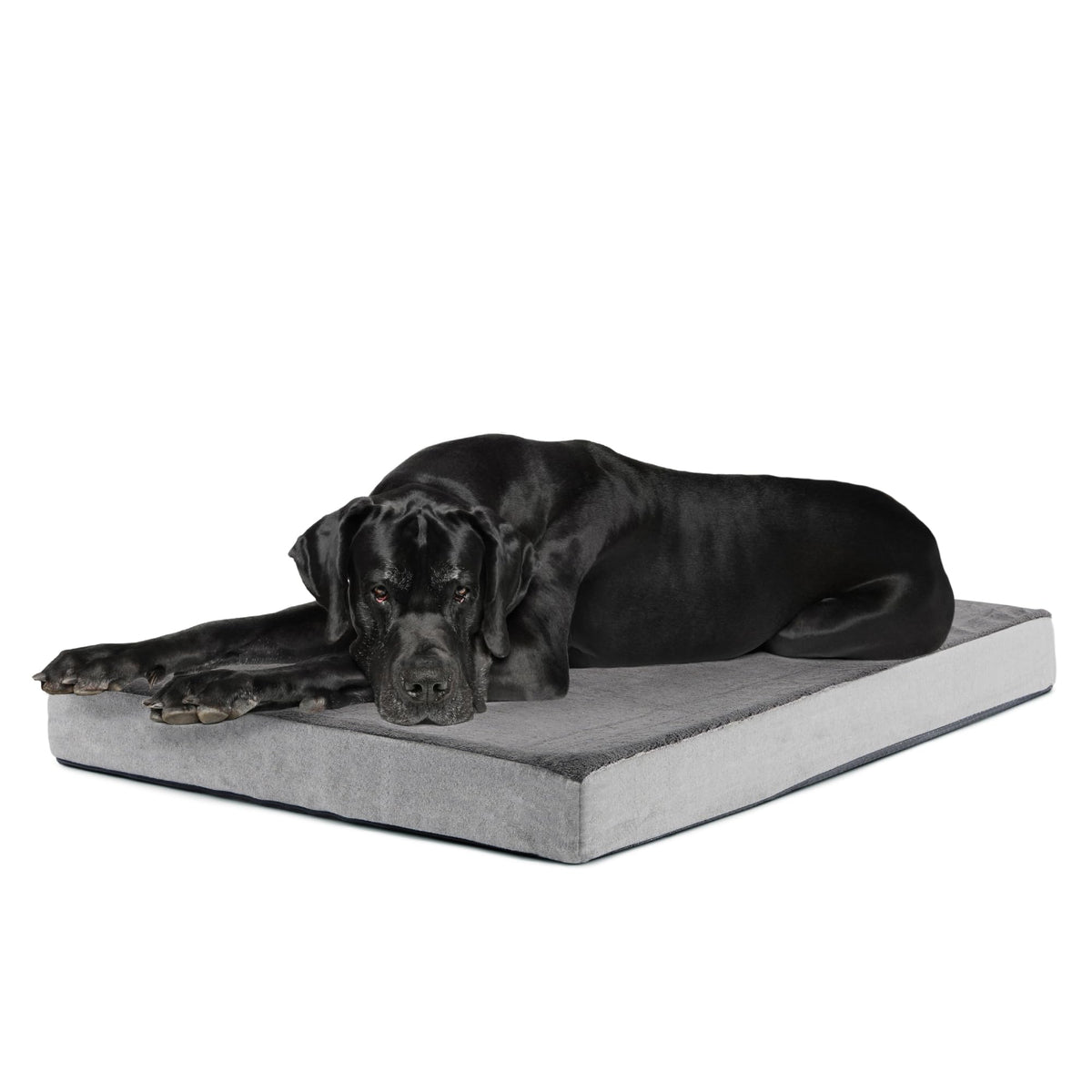 BarkBox Orthopedic Dog Bed - Small