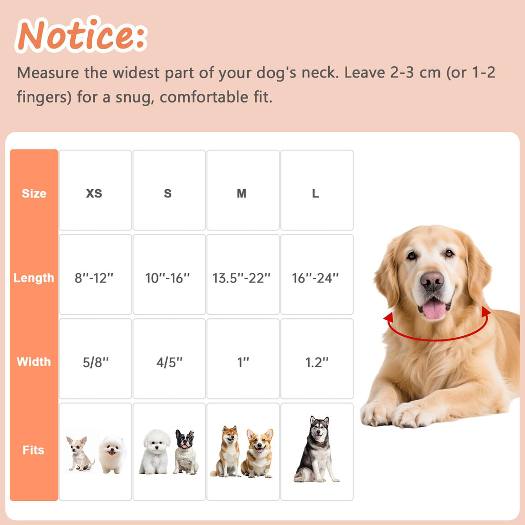 Astdogio Dog Collar for Extra Small Dogs, Spring &Summer Theme Orange Small Dog Collars with Flower Pattern, Adjustable Puppy Dog Collars, Cute Girl or Boy Dog Collar Ideal for Gifts,Pet Accessory,XS