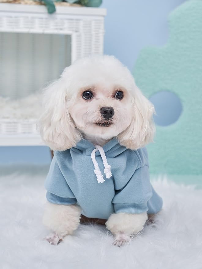 QWINEE Basic Dog Hoodie Sweatshirt Puppy Sweater Warm Cat Costumes Pet Clothes for Chihuahua Puppy Kitten Small Medium Dogs Black Green and Grey Medium