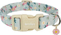 Astdogio Cotton Dog Collar, Blue Dog Collar with Flowers Pattern for Spring Summer Design, Adjustable Puppy Dog Collars, Cute Girl or Boy Dog Collar Ideal for Gifts,Pet Accessory,S