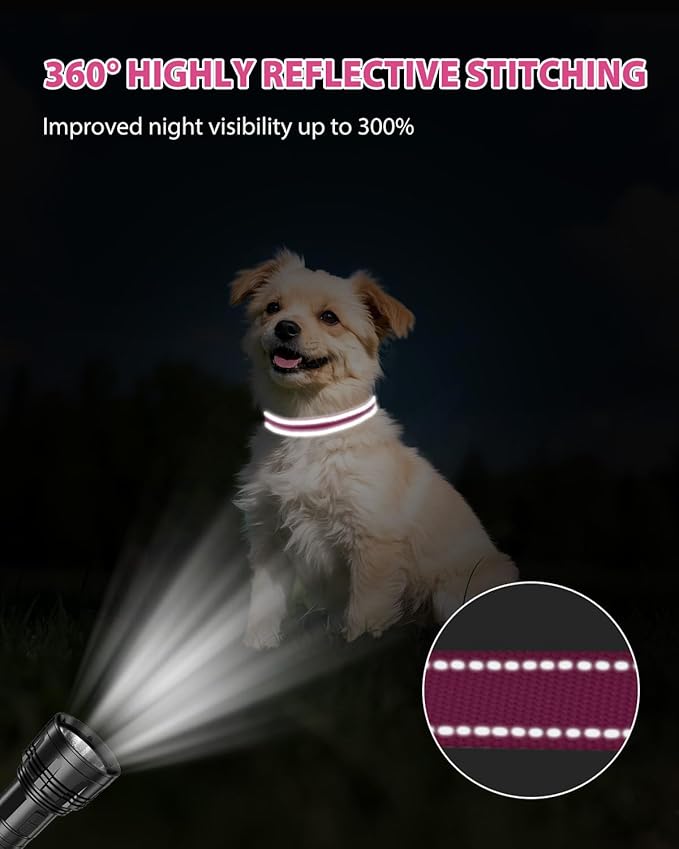 Joytale Small Dog Collar, Durable Double-Sided Reflective Nylon Collar for Night Safety, Adjustable Quick-Release for Active Breeds, Hotpink, S (3/4" Width)