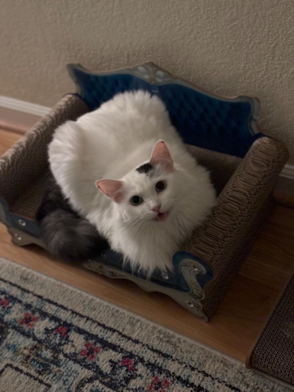 INRLKIT Luxury Cardboard Cat Scratcher Sofa Bed, Couch Shaped Cat Scratching Board, Scratch Lounge with Catnip, Scratcher for Indoor Cats Kittens Kitties