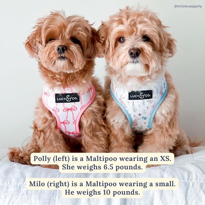 Lucy & Co. Reversible Dog Harness - Water-Repellent Neoprene, Dual-Print Design, Easy Swap Style, Adjustable Comfort Fit - Take a Bow Reversible Harness - Small