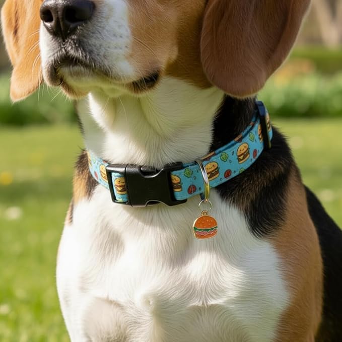 Britwicfr Cute Dog Collar, Blue Dog Collar with Burger Pattern and Cute Charm, Puppy Collar with Quick Release Buckle and Durable Fabric, Suitable for Medium and Large Dogs