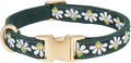 YUDOTE Woven Dog Collar with Metal Buckle Adjustable Jacquard Retro Dog Collars for Small Medium Large Dogs(Green,S)