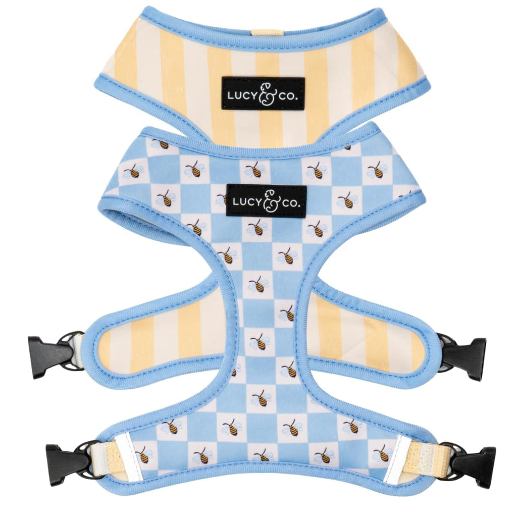 Lucy & Co. Reversible Dog Harness - Water-Repellent Neoprene, Dual-Print Design, Easy Swap Style, Adjustable Comfort Fit - Bumbling Around Reversible Harness - X-Small