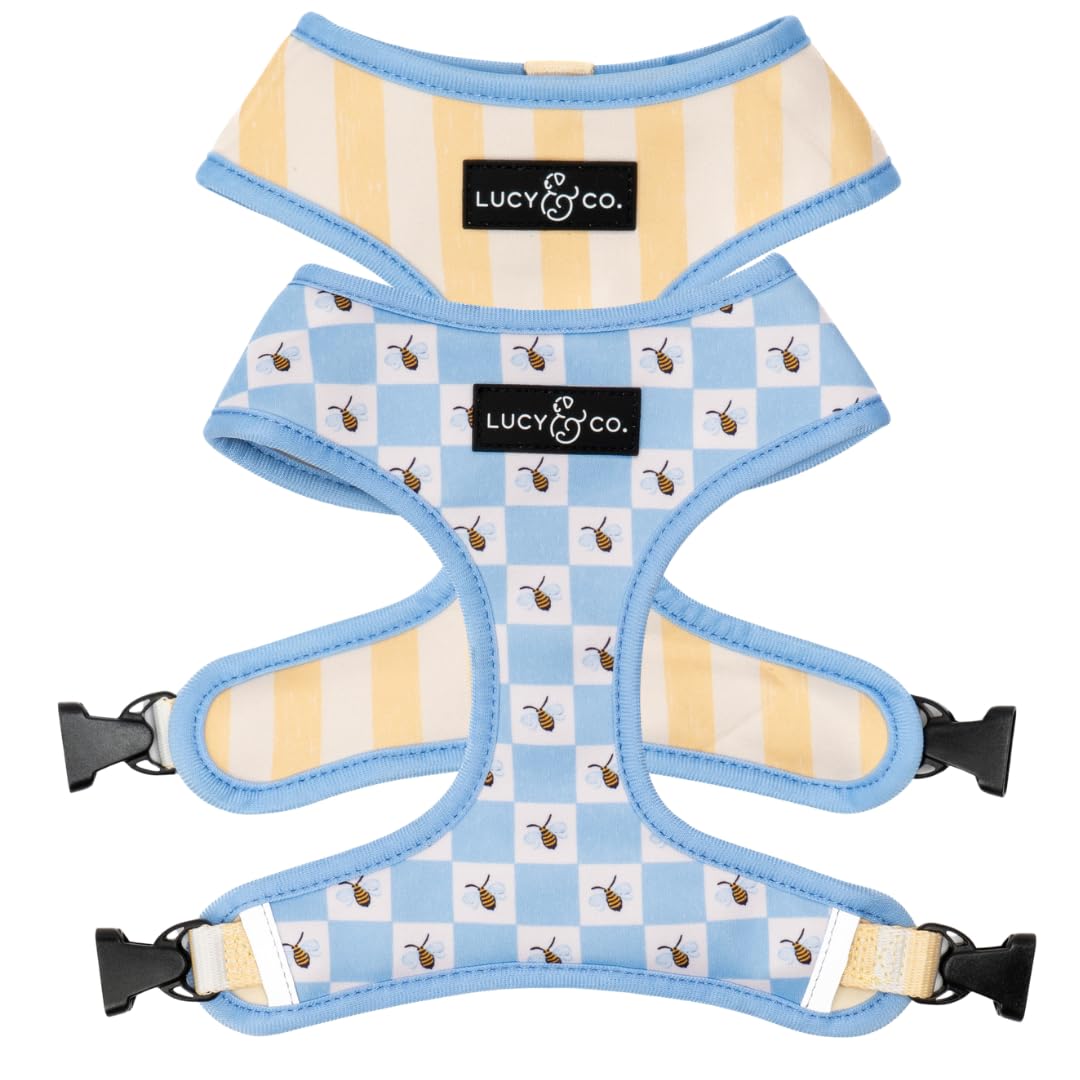 Lucy & Co. Reversible Dog Harness - Water-Repellent Neoprene, Dual-Print Design, Easy Swap Style, Adjustable Comfort Fit - Bumbling Around Reversible Harness - X-Small