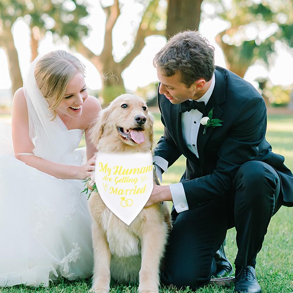 SZEE Wedding Decorations for Pets, 2 Pack My Humans are Getting Married Dog Bandanas, Engagement Party Decorations, Wedding or Engagement Gift for Couples, Dog Wedding Bandanas (Gold, S)