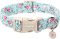 DOGWONG Floral Dog Collar, Cute Adjustable Flower Collar, Girl Female Dog Collar with Strong Plastic Buckle for Small Medium Large Dogs,L