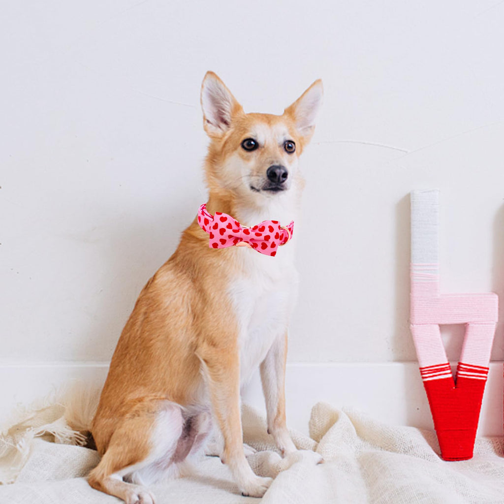 Lionheart Glory Valentine's Day Dog Collar with Bowtie for X-Large Dogs