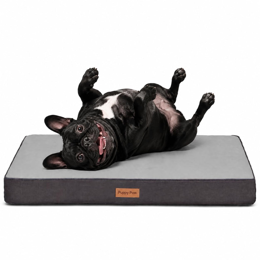 PUPPY PAW Orthopedic Memory Foam Dog Bed for Extra Large Dogs, Waterproof Lining and Non-Slip Bottom, Removable and Machine Washable Cover (41" x 29", Up to 100LBs)
