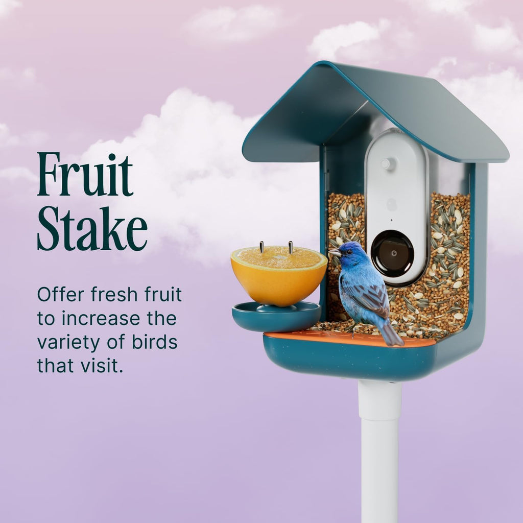 Birdbuddy 3-in-1 Nutrition Set with Water Fountain, Fruit Spike & Tray