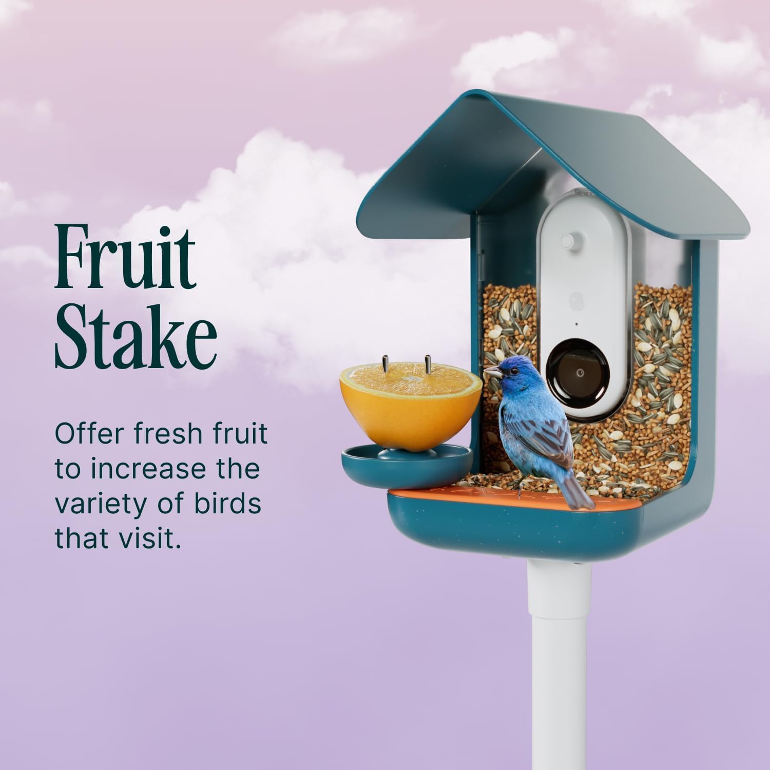 Birdbuddy 3-in-1 Nutrition Set with Water Fountain, Fruit Spike & Tray