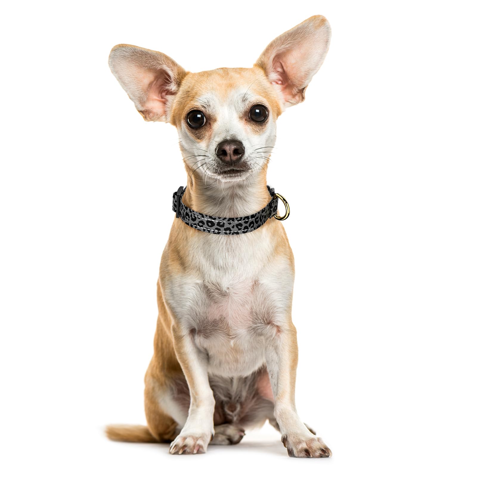TMOODEL Reflective Dog Collar for Extra Small Dogs Cats, Cute Leopard Style Adjustable Heavy-Duty Nylon Puppy Collar for Boy and Girl Female, Soft Pet Accessories with Quick Release Buckle, Gray