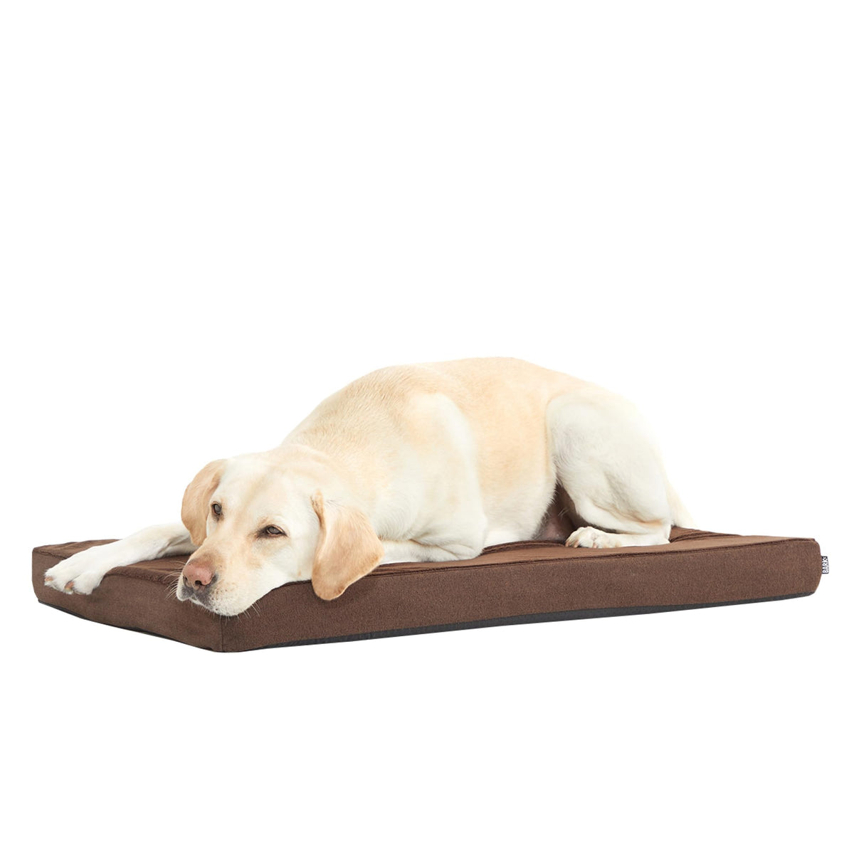 BarkBox Orthopedic Dog Bed - Small