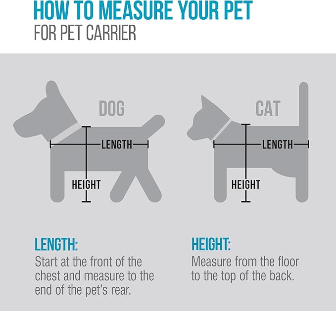 Sherpa 2-in-1 Backpack Travel Pet Carrier, Airline Approved & Guaranteed On Board - Gray, Medium (Brick & Mortar Version)