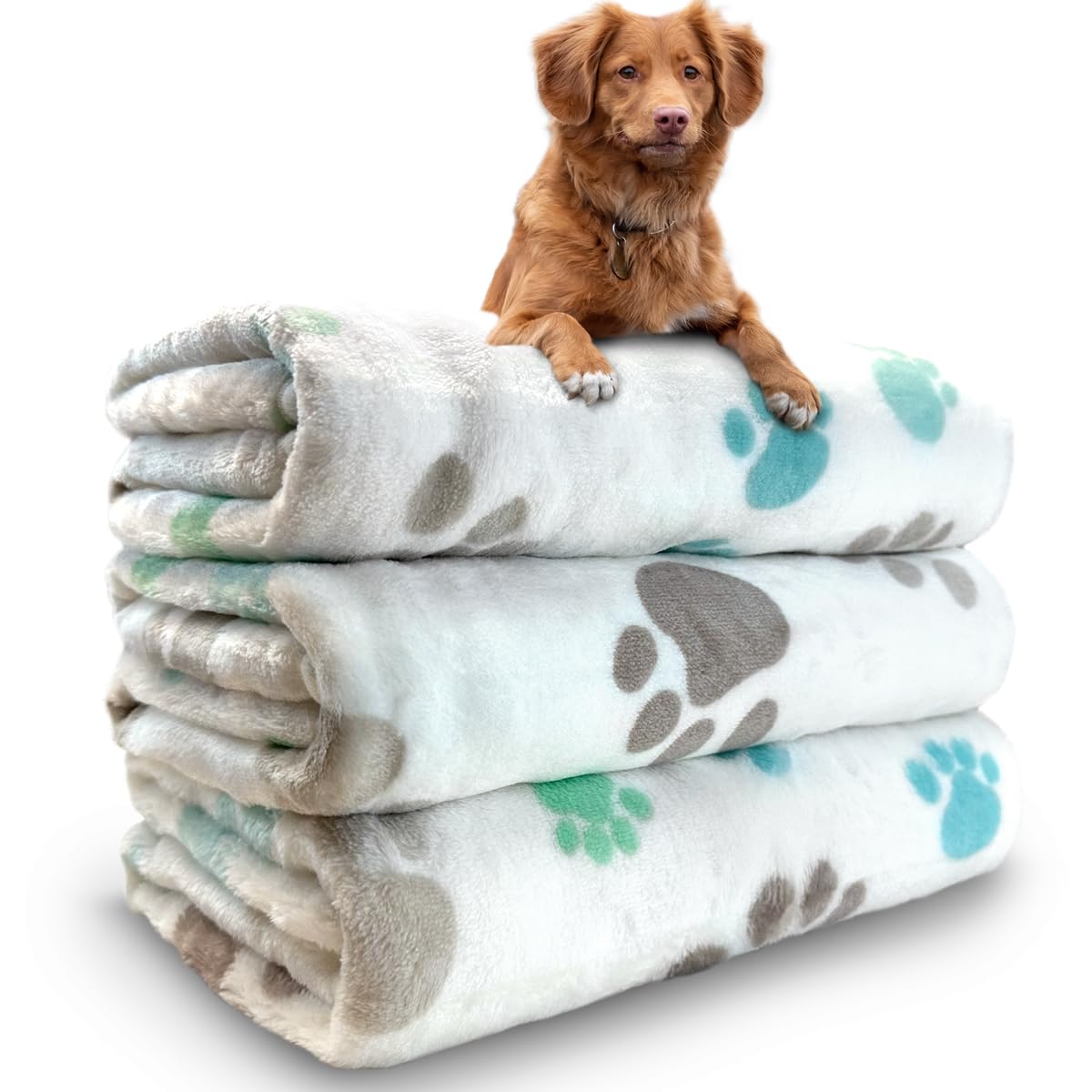 Dog Blankets for Medium Large Dogs Washable, 3 Pack Pet Blanket Washable 41" x 31", Fuzzy Soft Puppy Throw Cover for Kennel Crate Bed