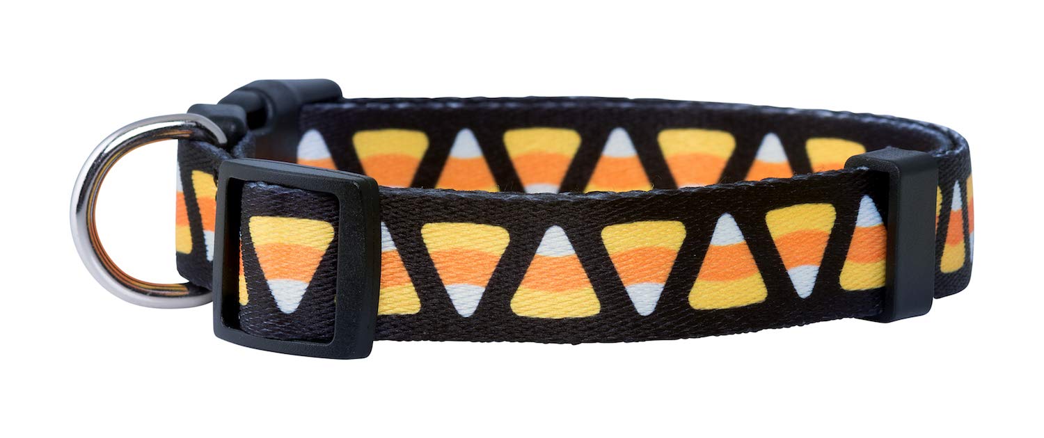 Native Pup Halloween Dog Collar- Spooky Fall Themed Horror Costume Collars- Skull, Pumpkin, Ghost, Bat, Witch, Candy Corn, Spider- Adjustable for Small, Medium, Large Breeds (Small, Candy Corn)