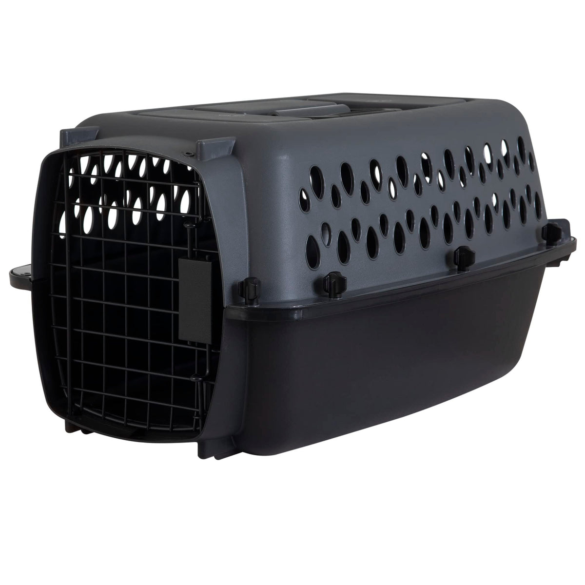 Petmate Pet Porter Fashion Dog Kennel 23in, Hot Pink, for Pets up to 15lbs