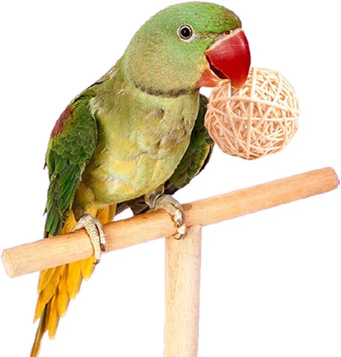LOIUGENTE Parrot Chew Toys Bird Toys, 30 Pcs 1.2 inch Rattan Wicker Balls Parakeet Chewing Toys, for Budgies Conures Hamsters Bunny Toy, Decoration for DIY Craft Party Wedding