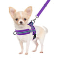 SlowTon No Pull Small Dog Harness and Leash Set with Front Clip