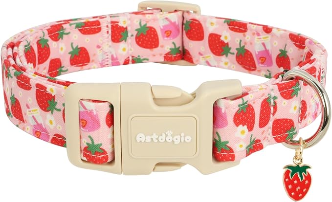 Astdogio Halloween Dog Collars, Fall Dog Collar for Dogs, Fun Multi-Color Pumpkin Dog Collars for Large Dogs, Adjustable Cotton Large Dog Collar Puppy Collar for Halloween & Thanksgiving — XS