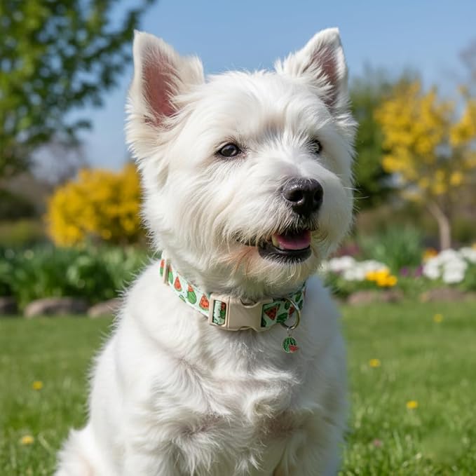Britwicfr Summer Dog Collar for Medium Dogs, Cute Dog Collar with Watermelon Pattern and Pendant, Green Pet Collar with Soft Cotton Fabric and Robust Buckle