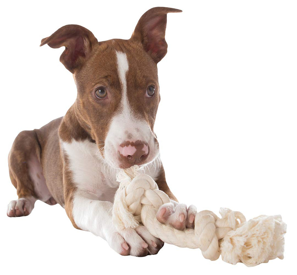 Mammoth Pet Products Dog Flossy Chews 100-Percent Cotton White Rope Bone, Medium, 12-Inch (10004V), All Breed Sizes