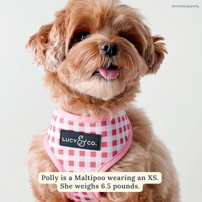 Lucy & Co. Reversible Dog Harness - Water-Repellent Neoprene, Dual-Print Design, Easy Swap Style, Adjustable Comfort Fit - Take a Bow Reversible Harness - Small