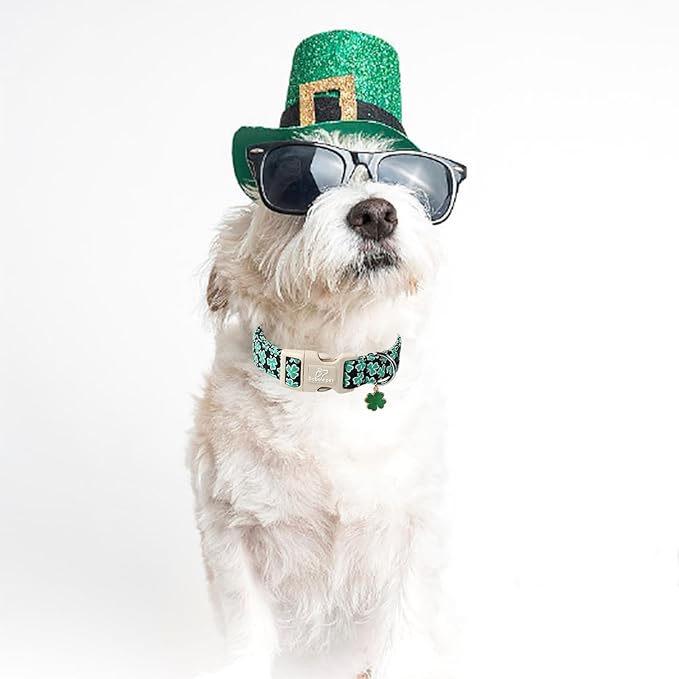St Patricks Day Dog Collar for Medium Dogs - Green Lucky Shamrock Boy Dog Collars, Irish Clover Pattern Black Male Puppy Collar with Quick Release Buckle M